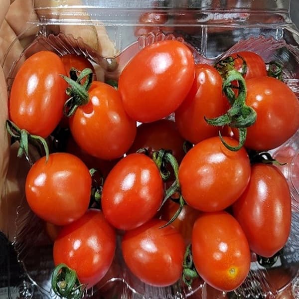 가람상점 가람상점 대추방울토마토, 2kg, 1개