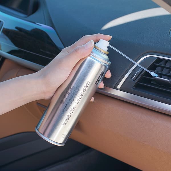 리체 바스 차량용 에어컨 히터 탈취제, 171ml, 1개
