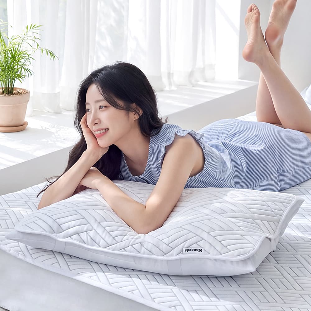 주식회사 디와이커머스(DY COMMERCE CO.,LTD) 모니즈 아이스 쿨텍스 냉감소재 베개커버, 50x70cm, 2개