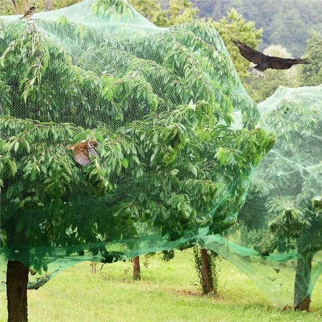세상의모든것3 울타리망 농작물 보호용 새그물망 2x10M, 2m x 10m, 1개
