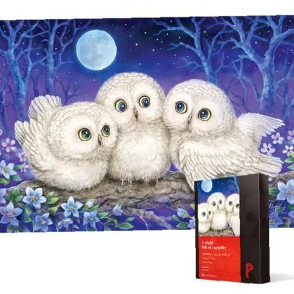 팔도커머스 퍼즐사랑 1000피스 직소퍼즐 호기심 가득한 밤, 1000개, 51x73.5cm, 1개