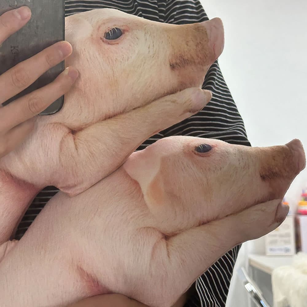 다다랜드 애완 돼지 인형, 돼지, 50cm, 꼬깔모자