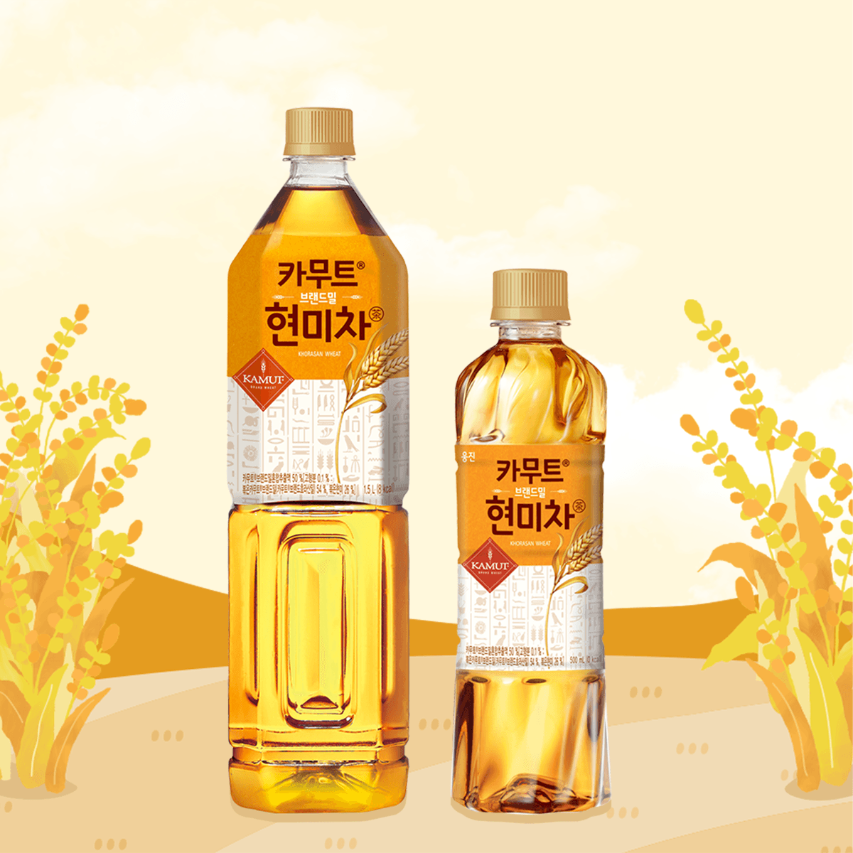 웅진식품 (주) 브랜드밀 카무트 현미차, 1.5L, 12개