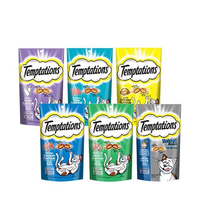 주식회사 정이비에스 템테이션 클래식, 멀티팩, 75g, 6팩